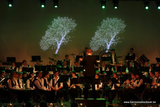 HC2010 - 5e element - orkest (6)