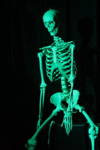 HC2011 - hilaryland - special act